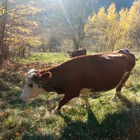 Gospodarstwo Agroturystyczne Apartmán Zabnica
