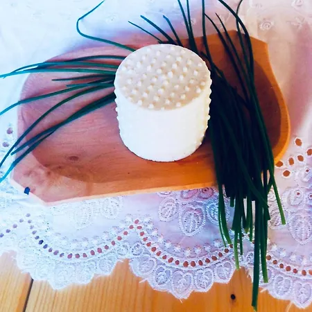 Gospodarstwo Agroturystyczne Zabnica