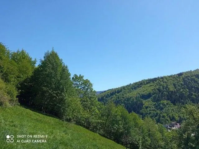 Gospodarstwo Agroturystyczne *