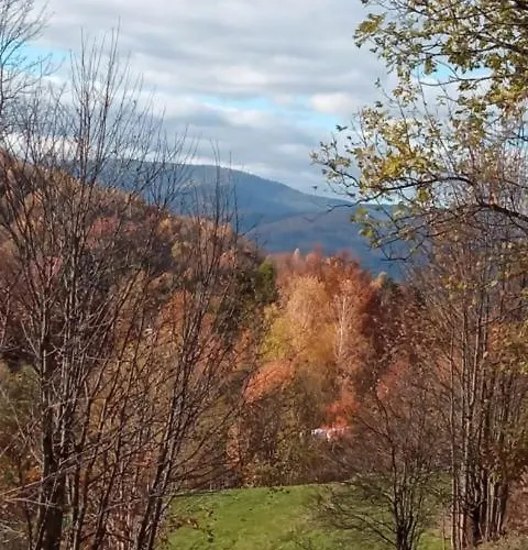 Gospodarstwo Agroturystyczne Apartment