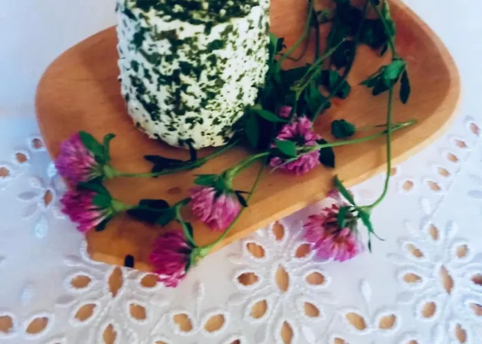 Apartment Gospodarstwo Agroturystyczne